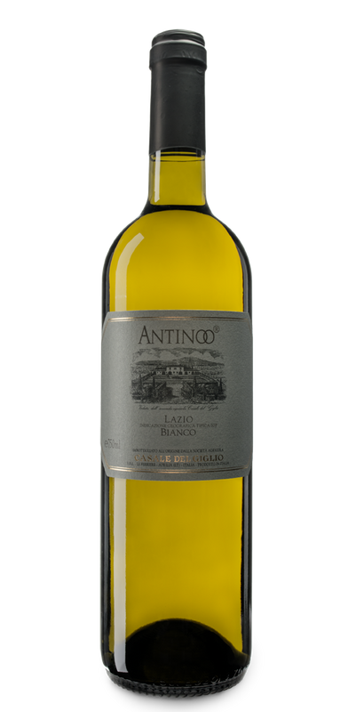 'Antinoo' Lazio Bianco IGT 2018 - Casale Del Giglio-Dudi Wine
