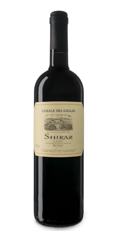 Shiraz Lazio IGT 2019 - Casale Del Giglio-Dudi Wine