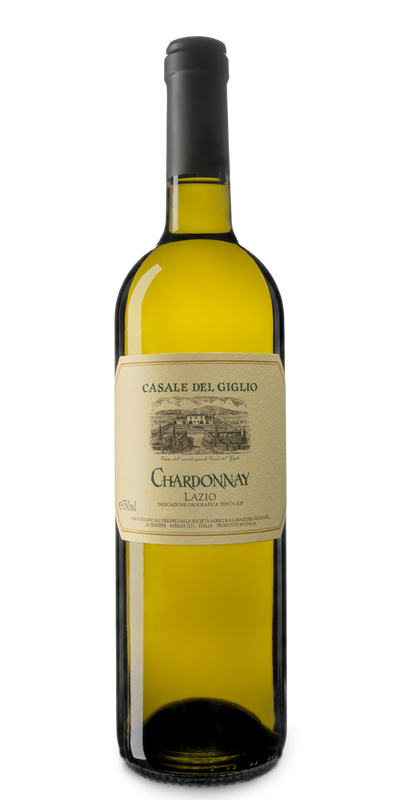 Chardonnay Lazio IGT 2020 - Casale Del Giglio-Dudi Wine