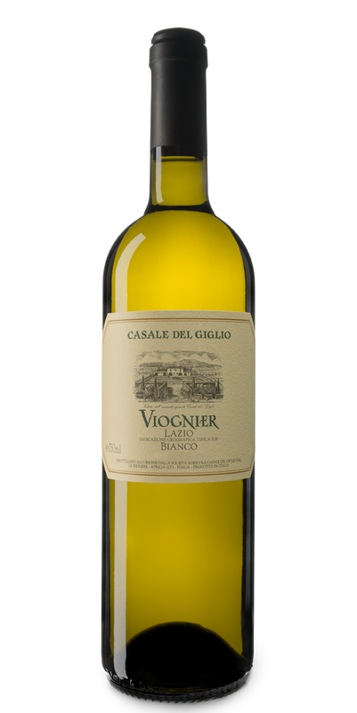 Viognier Lazio IGT 2019 - Casale Del Giglio-Dudi Wine