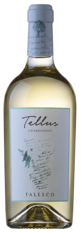 'Tellus' Chardonnay Lazio IGP 2019 - Famiglia Cotarella - Azienda Vinicola Falesco-Dudi Wine