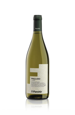 'Lusor' Friulano Friuli DOC 2019 - Forchir-Dudi Wine