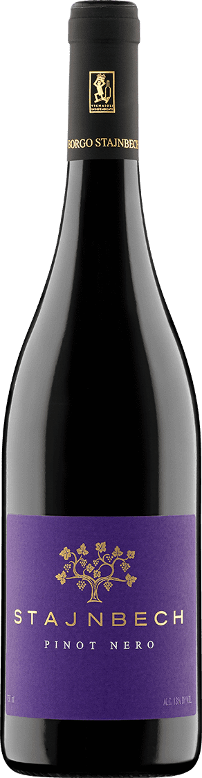 Pinot Nero Trevenezie IGP 2019 - Borgo Stajnbech