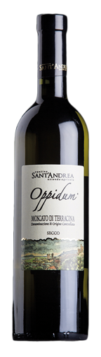 'Oppidum' Moscato di Terracina Secco DOC 2020 - Cantina Sant'Andrea